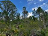 50204 Bermont Road - Photo 44