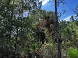 50204 Bermont Road - Photo 47