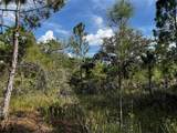 50204 Bermont Road - Photo 49
