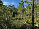 50204 Bermont Road - Photo 51