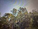 2299 Dumont Drive - Photo 1