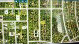 7090 Kaler Street - Photo 3