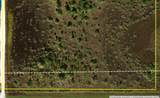 50690 Bermont Road - Photo 4