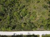 12301 Los Olas Drive - Photo 6