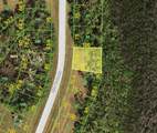 12532 Blue Marlin Road - Photo 1