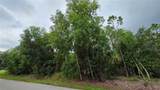 12339 Cognac Drive - Photo 3