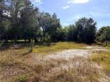 13263 Banyan Drive - Photo 3