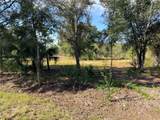 13263 Banyan Drive - Photo 5