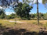 13263 Banyan Drive - Photo 7