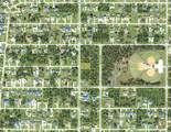 1502 Abalom Street - Photo 3