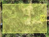 10138 Long Branch Street - Photo 1