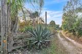 8056 Horse Creek Road - Photo 5