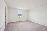 2028 Golden Beak Drive - Photo 19