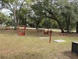 20005 Goldcup Court - Photo 28