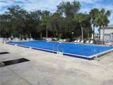 20005 Goldcup Court - Photo 33