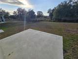 29467 Peace River Shores Boulevard - Photo 4