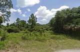  Ananas Road - Photo 3