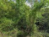 8115 Horse Creek Road - Photo 2