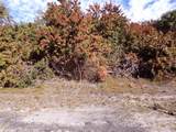  Crimsonglory Road - Photo 3