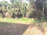 232 Bamboo Drive - Photo 4