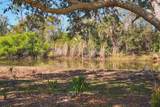 25868 Aysen Drive - Photo 63