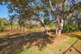 25868 Aysen Drive - Photo 64