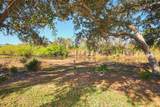 25868 Aysen Drive - Photo 65