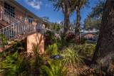 19300 Water Oak Drive - Photo 6