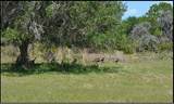 834 Logue Road - Photo 5