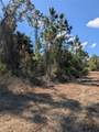  Bannock Circle - Photo 7