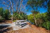 29505 Jones Loop Road - Photo 72