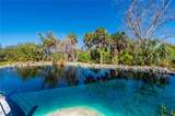 29505 Jones Loop Road - Photo 83