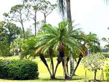 4041 King Tarpon Drive - Photo 38