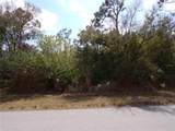 25161 Aysen Drive - Photo 15
