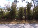 25161 Aysen Drive - Photo 19