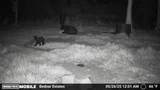  Black Burn Road - Photo 12