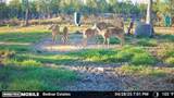  Black Burn Road - Photo 14