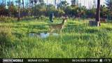  Black Burn Road - Photo 9