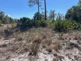 LOT 45 Barnsdale Circle - Photo 4
