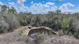 9796 Southern Dreams Road - Photo 61