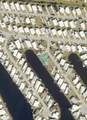 504 Clarion Place - Photo 2