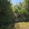  Janaro Road - Photo 1