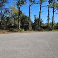  Janaro Road - Photo 1