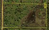 50982 Bermont Road - Photo 3