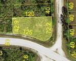 12359 Los Olas Drive - Photo 2