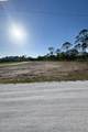 12359 Los Olas Drive - Photo 5
