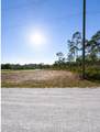 12359 Los Olas Drive - Photo 6