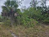20339 Bachmann Boulevard - Photo 2