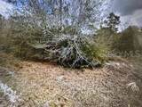 13274 Caloosa Drive - Photo 1