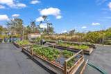 29350 Sam Way - Photo 49